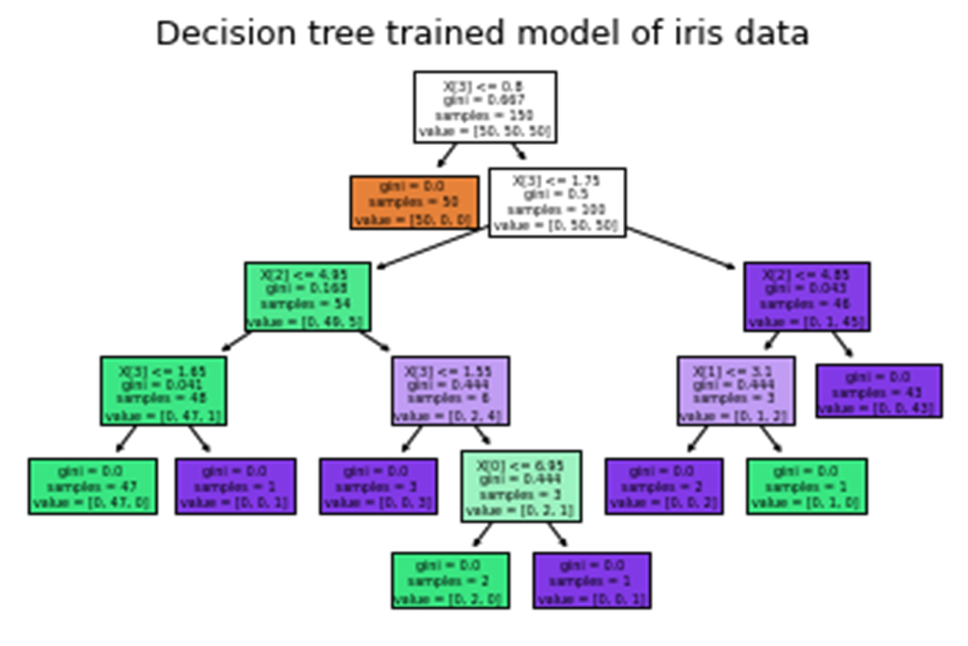 decision tree trained model of iris data image under Decision Trees and Random Forests in predictive models project